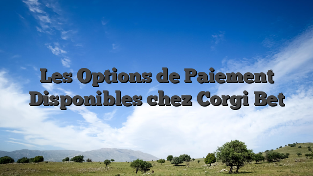 Les Options de Paiement Disponibles chez Corgi Bet