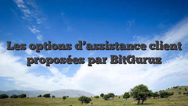 Les options d’assistance client proposées par BitGuruz