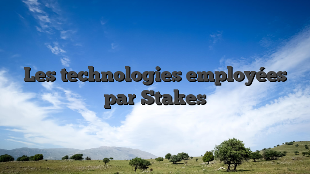 Les technologies employées par Stakes