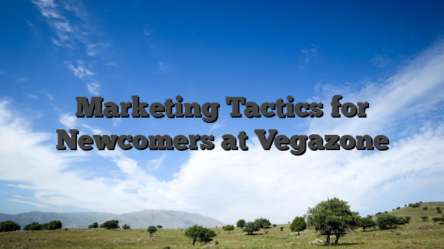 Marketing Tactics for Newcomers at Vegazone