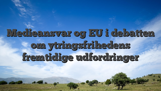 Medieansvar og EU i debatten om ytringsfrihedens fremtidige udfordringer