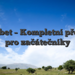 Mostbet – Kompletní přehled pro začátečníky