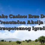 MyStake Casino: Brze Dobitke i Trenutačna Akcija za Brzopoteznog Igrača
