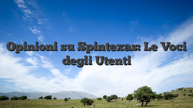 Opinioni su Spintexas: Le Voci degli Utenti
