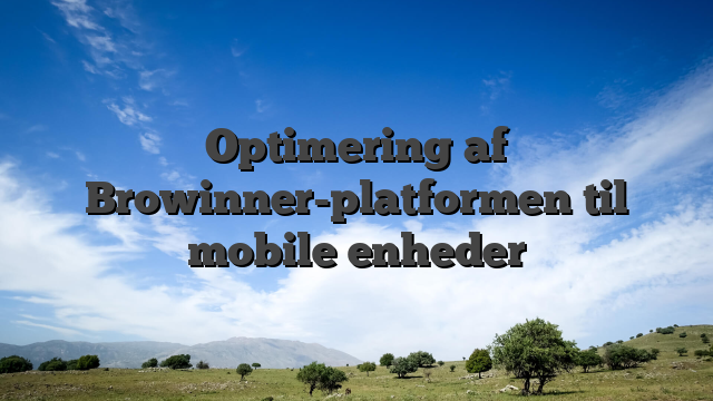 Optimering af Browinner-platformen til mobile enheder