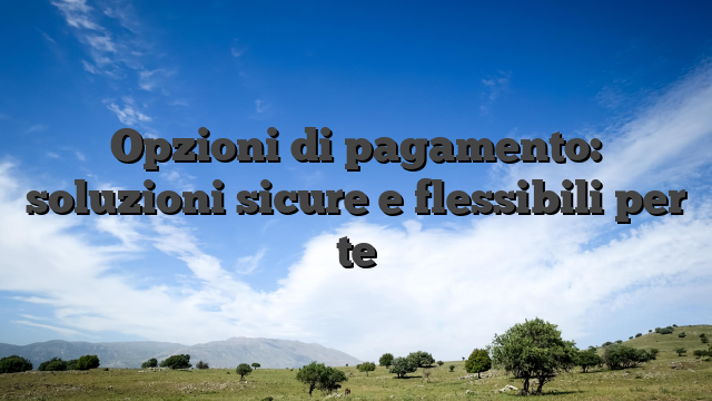 Opzioni di pagamento: soluzioni sicure e flessibili per te