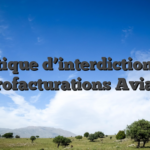 Politique d’interdiction des rétrofacturations Aviator