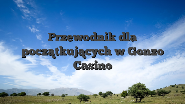 Przewodnik dla początkujących w Gonzo Casino