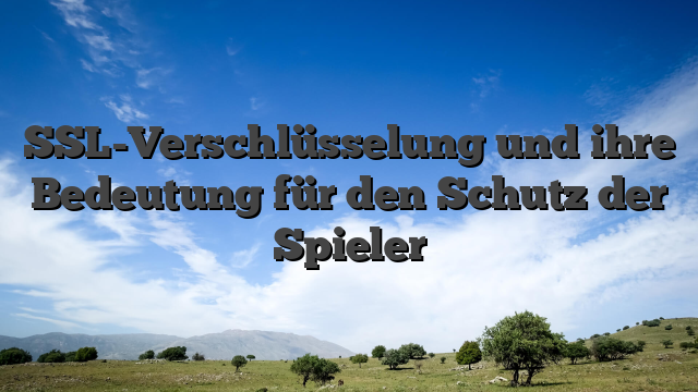 SSL-Verschlüsselung und ihre Bedeutung für den Schutz der Spieler