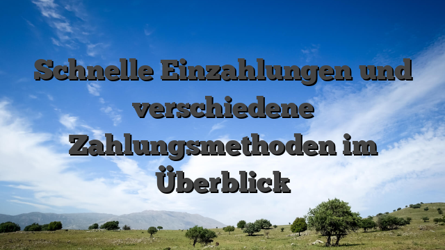 Schnelle Einzahlungen und verschiedene Zahlungsmethoden im Überblick