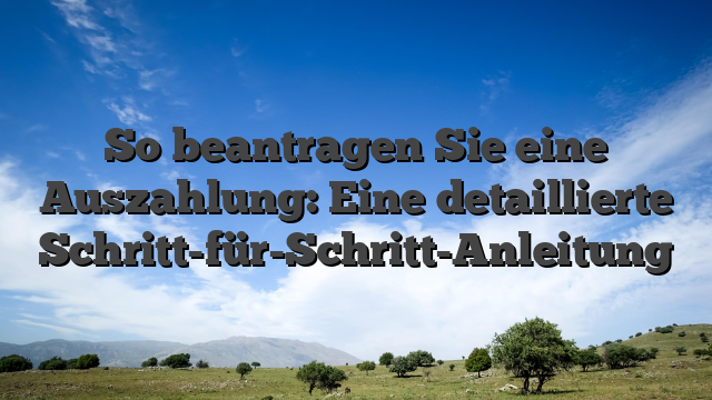 So beantragen Sie eine Auszahlung: Eine detaillierte Schritt-für-Schritt-Anleitung