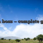 Spin boss — complete guide