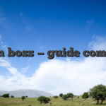 Spin boss — guide complet