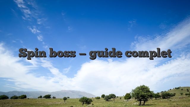 Spin boss — guide complet
