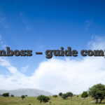 Spinboss — guide complet