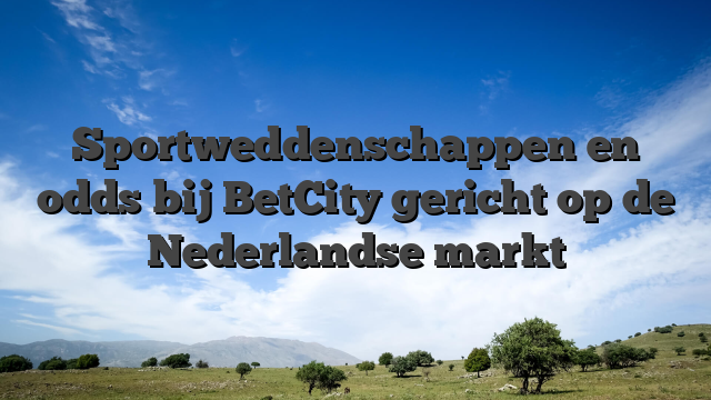 Sportweddenschappen en odds bij BetCity gericht op de Nederlandse markt