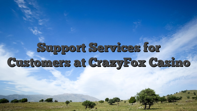 Support Services for Customers at CrazyFox Casino