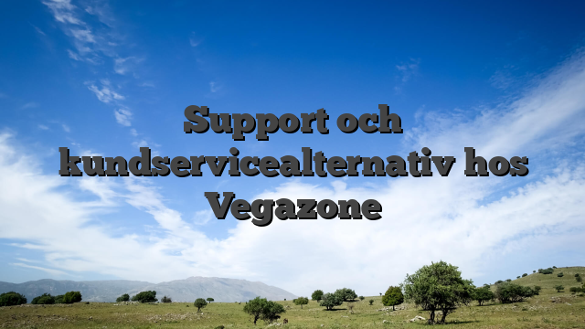 Support och kundservicealternativ hos Vegazone