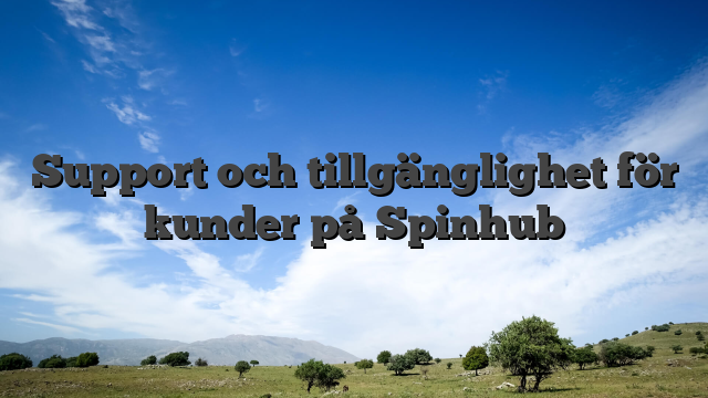 Support och tillgänglighet för kunder på Spinhub