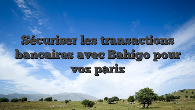 Sécuriser les transactions bancaires avec Bahigo pour vos paris