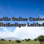 Thrills Online Casino — vollständiger Leitfaden