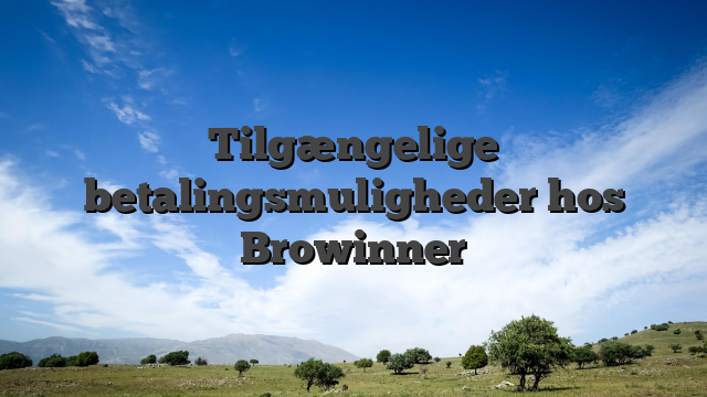 Tilgængelige betalingsmuligheder hos Browinner