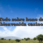 Todo sobre bono de bienvenida casino