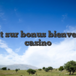 Tout sur bonus bienvenue casino