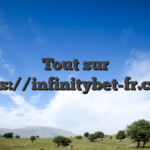 Tout sur https://infinitybet-fr.com/