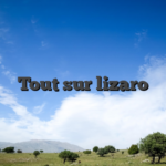 Tout sur lizaro