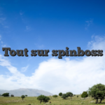 Tout sur spinboss