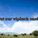 Tout sur vipluck casino