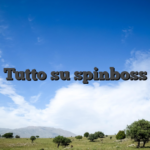 Tutto su spinboss