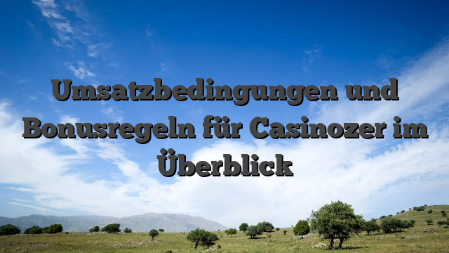 Umsatzbedingungen und Bonusregeln für Casinozer im Überblick