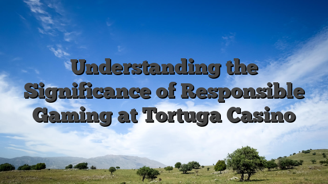 Understanding the Significance of Responsible Gaming at Tortuga Casino