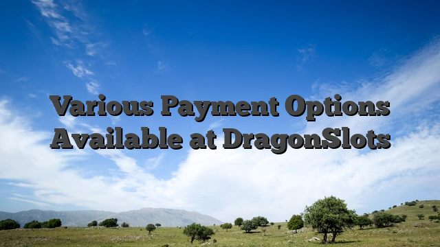 Various Payment Options Available at DragonSlots