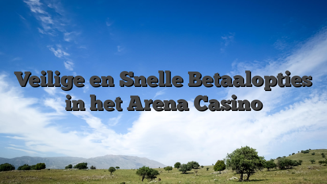 Veilige en Snelle Betaalopties in het Arena Casino