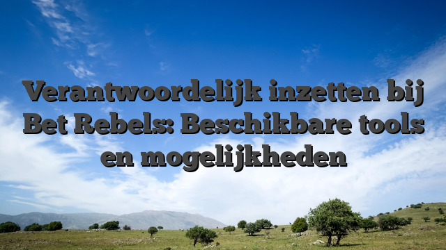 Verantwoordelijk inzetten bij Bet Rebels: Beschikbare tools en mogelijkheden