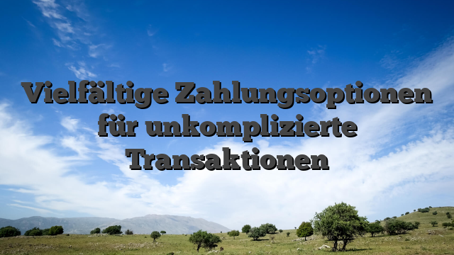 Vielfältige Zahlungsoptionen für unkomplizierte Transaktionen