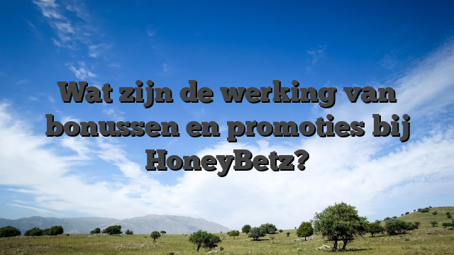 Wat zijn de werking van bonussen en promoties bij HoneyBetz?