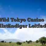 Wild Tokyo Casino — vollständiger Leitfaden