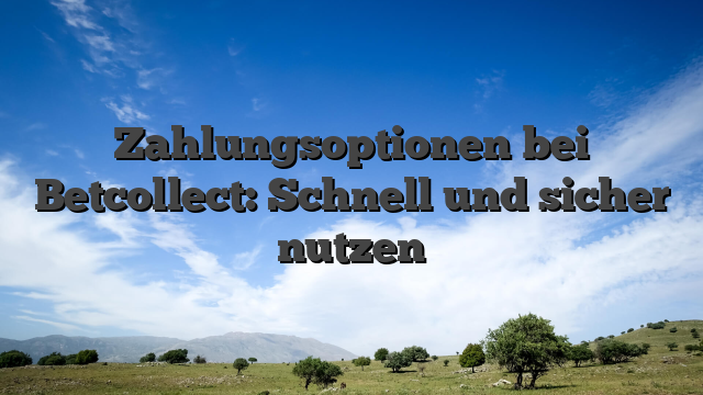 Zahlungsoptionen bei Betcollect: Schnell und sicher nutzen