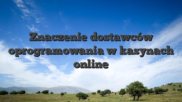 Znaczenie dostawców oprogramowania w kasynach online