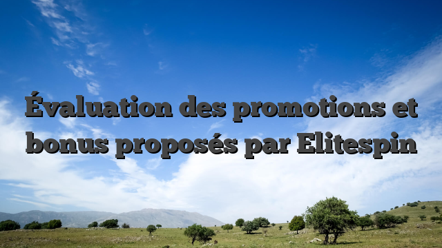 Évaluation des promotions et bonus proposés par Elitespin