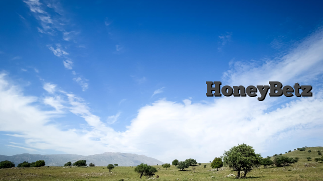 Μέθοδοι κατάθεσης και πληρωμές στο HoneyBetz
