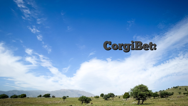 Παιχνίδια που ξεχωρίζουν στο CorgiBet: Οδηγός για τους παίκτες