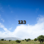 123