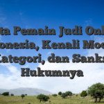3,2 Juta Pemain Judi Online di Indonesia, Kenali Modus, Kategori, dan Sanksi Hukumnya