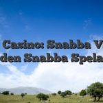 55Bet Casino: Snabba Vinster för den Snabba Spelaren