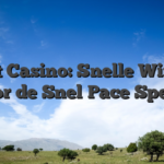 55Bet Casino: Snelle Winsten voor de Snel‑Pace Speler